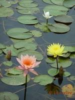 La photo du dimanche #10 La photo du dimanche #10