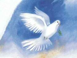 image-LCF Les libéraux-conservateurs lancent leur site internet