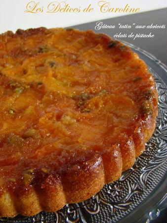 Gâteau tatin aux abricots, éclats de pistache DSC06240