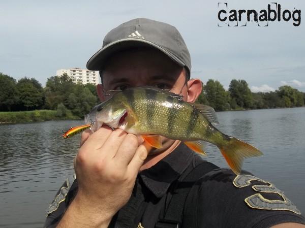 Lancer léger meurtrier en Loire II (04/09/2011) 04-09-2011(4)