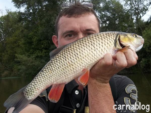 Lancer léger meurtrier en Loire II (04/09/2011) 04-09-2011(1)