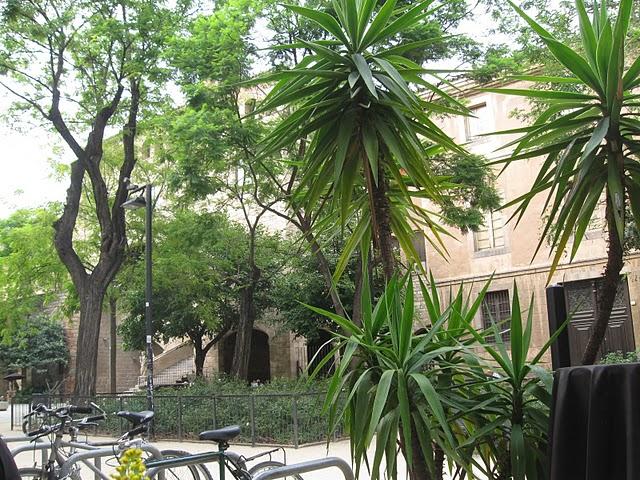 Les vacaaaaannnces Les vacaaaaannnces