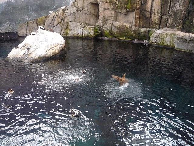 Une demi-journée au Biodôme Une demi-journée au Biodôme