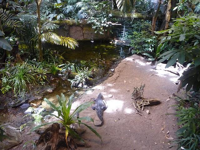 Une demi-journée au Biodôme Une demi-journée au Biodôme