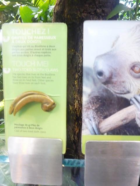 Une demi-journée au Biodôme Une demi-journée au Biodôme