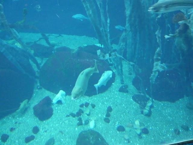 Une demi-journée au Biodôme Une demi-journée au Biodôme