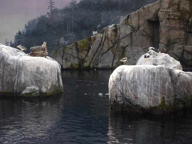 Une demi-journée au Biodôme Une demi-journée au Biodôme
