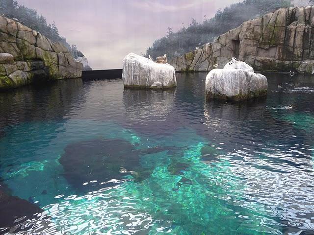 Une demi-journée au Biodôme Une demi-journée au Biodôme