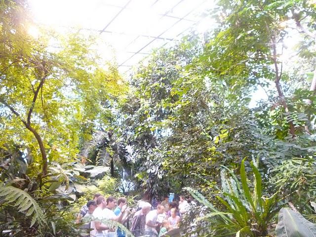 Une demi-journée au Biodôme Une demi-journée au Biodôme