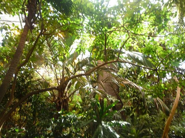 Une demi-journée au Biodôme Une demi-journée au Biodôme