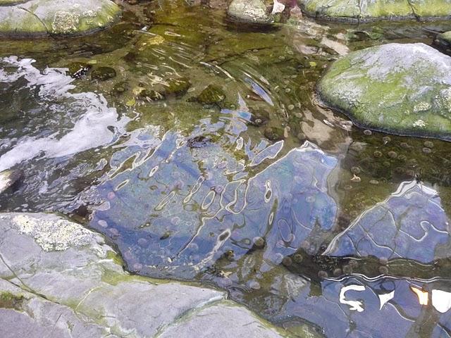 Une demi-journée au Biodôme Une demi-journée au Biodôme