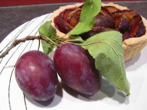 Tartelettes aux quetsches IMG_2710