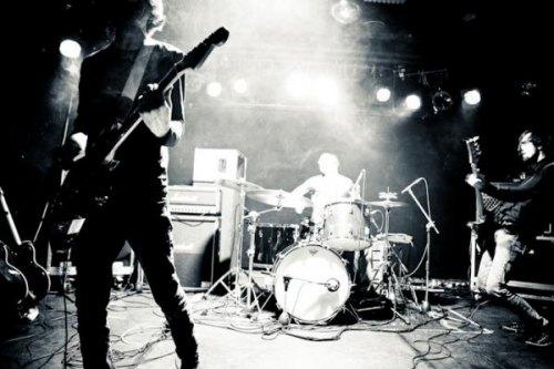 Unfold & Navel navelpic Unfold & Navel