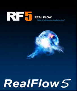 Formation Realflow 5 avec Realflow 5.0