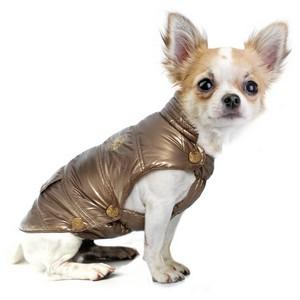 Et voilà! Vous l'attendiez, elle est arrivée :) doudounes chiens chihuahuas