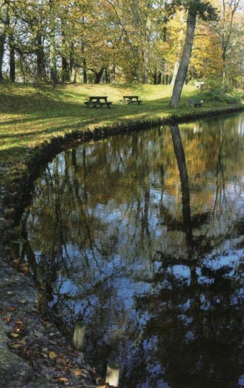Les charmes d'une promenade au bord de la Deûle. Les charmes d'une promenade au bord de la Deûle.