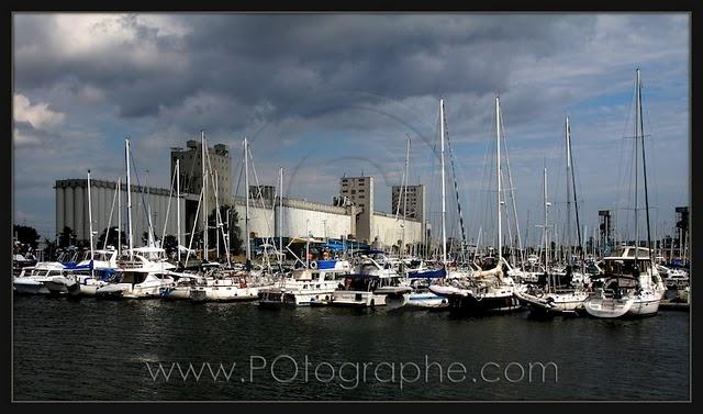 La marina, la Bunge et la ville La marina, la Bunge et la ville