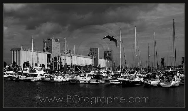 La marina, la Bunge et la ville La marina, la Bunge et la ville