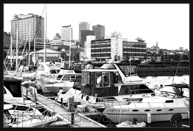 La marina, la Bunge et la ville La marina, la Bunge et la ville