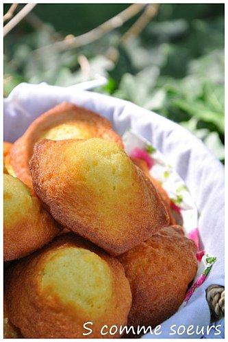 Madeleines aux pépites de Chocolat ( recette Valrhona) madeleinespépites1