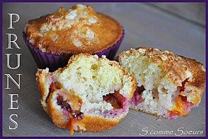 Madeleines aux pépites de Chocolat ( recette Valrhona) 2010-08-31 chaussonsmoelleux6