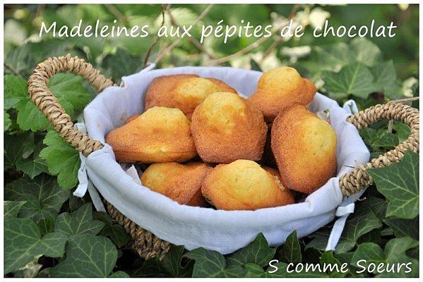 Madeleines aux pépites de Chocolat ( recette Valrhona) madeleinespépites2