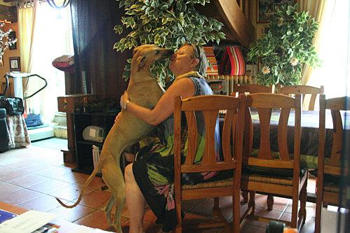 Estrella notre jeune et jolie Galga adore voler les peluches Estrella-bisous-reduit.jpg