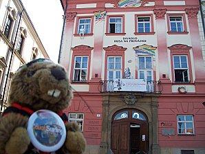 Marmotte à Brno - 2ème partie 100_9134.JPG