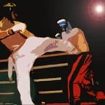 fullContact1 Reprise des cours de capoeira