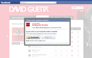 David Guetta champion français de Facebook