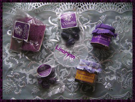 Mon Partenariat : La Maison de la Violette IMGP0577