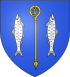 BLASON Nathalie Simon au padel