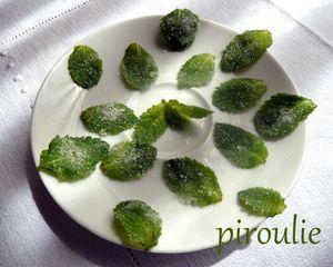 Tartelettes au chocolat et à la menthe fraîche P1060749