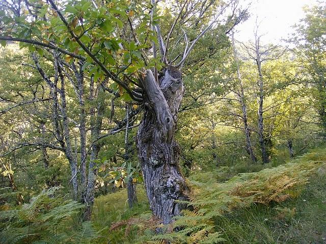 si ça continue si ça continue