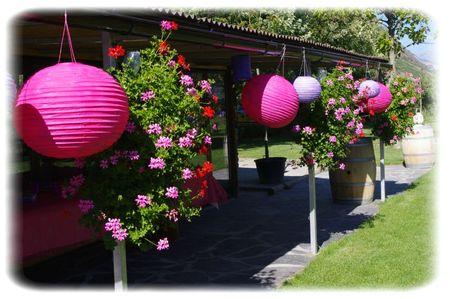 La fête fut belle... anniversaire daniele 031