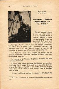 ton sur thon peche-au-thon-BT1