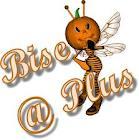 RISOTTO D'ESCARGOTS AU BEURRE VERT RISOTTO D'ESCARGOTS AU BEURRE VERT