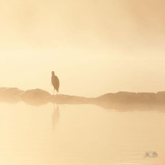 Jean-Claude Boucher Sélection Darqroom Pixfan #35