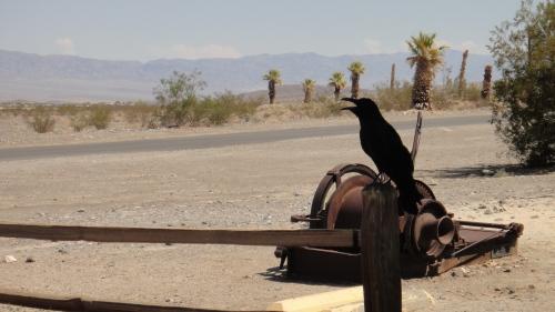 DSC07290 Road trip épisode 2 : l’Ouest américain