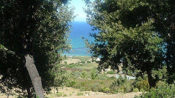 Saint Florent VUE-ST-FLORENT-5.jpg