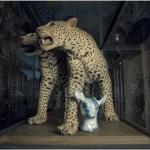 Petrovich-MCN02 Petrovich-MCN02