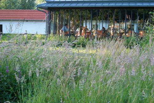 La-Grenouillere-hotel-jardin-marais-2-Hoosta-Magazine-paris La-Grenouillere-hotel-jardin-marais-2-Hoosta-Magazine-paris