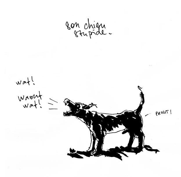 Son-chien-stupide