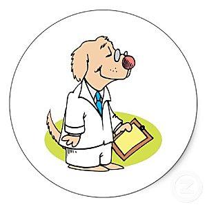 dog_doctor_nurse_vet_veterinary_veterinarian_sticker-p21780.jpg
