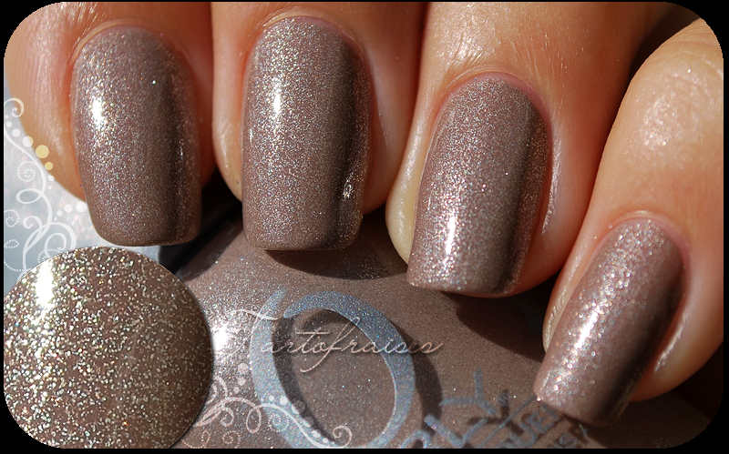 Orly - Nite Owl http://tartofraises.nailblogs.net/vernis/ORLY/NiteOwl_2.png