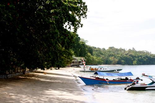 Plonger à Bunaken - Sulawesi, Indonésie, 2011/