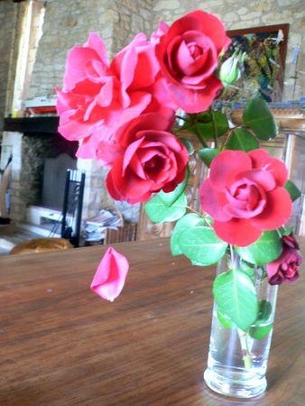 Un pétale en suspension .... Rougets 005