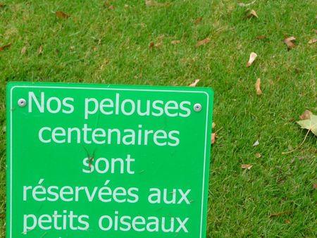 Samedi culturel P1150232