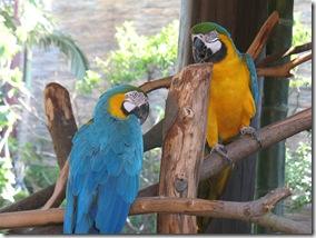 Septembre2011_406 Septembre2011_406