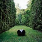 Céramique Pomme Brillante Super Extra Céramique Pomme Brillante Super Extra